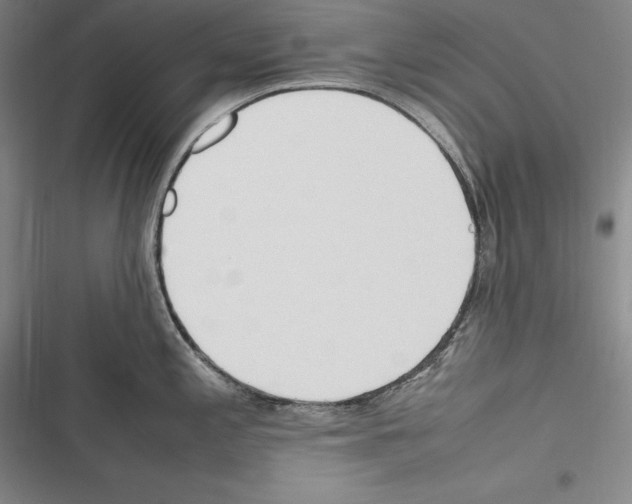 X0000116271197201001111008