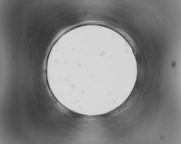 X0000116271199201001111008