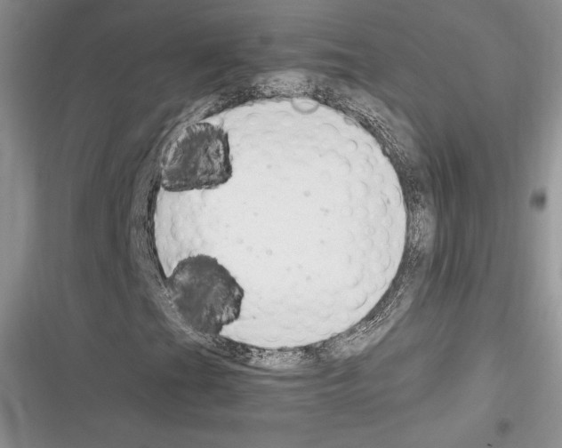 X0000116271201201001111007