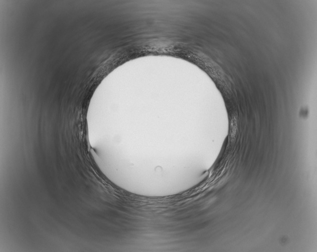 X0000116271202201001111007