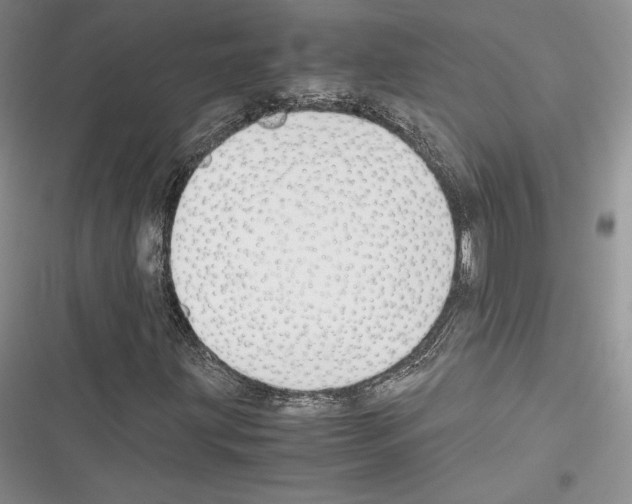 X0000116271203201001111007