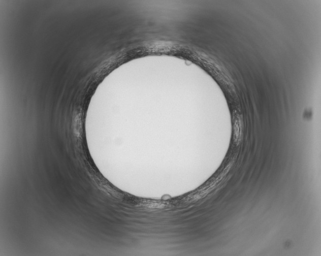 X0000116271204201001111007