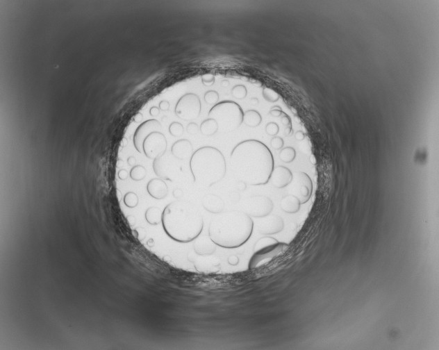 X0000116271205201001111007