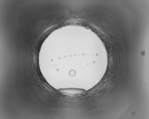 X0000116271206201001111007