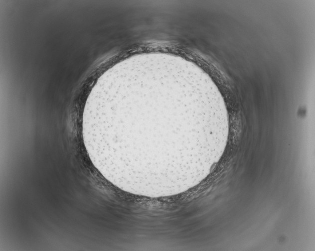X0000116271207201001111007