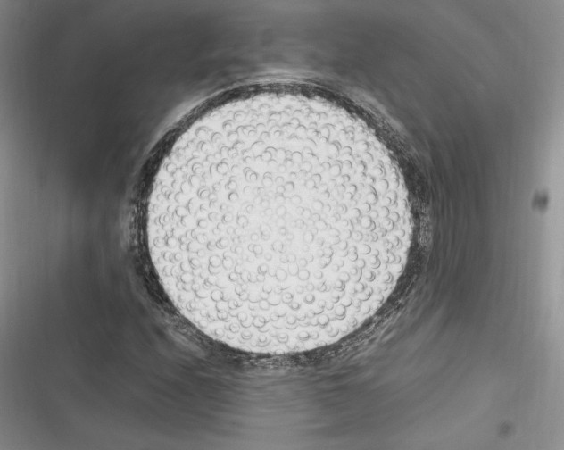 X0000116271208201001111007