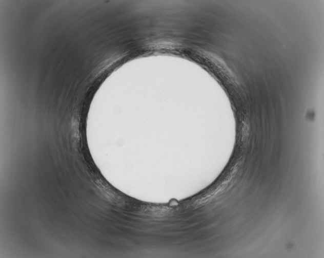 X0000116271209201001111007