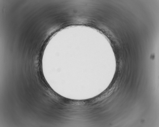 X0000116271210201001111007