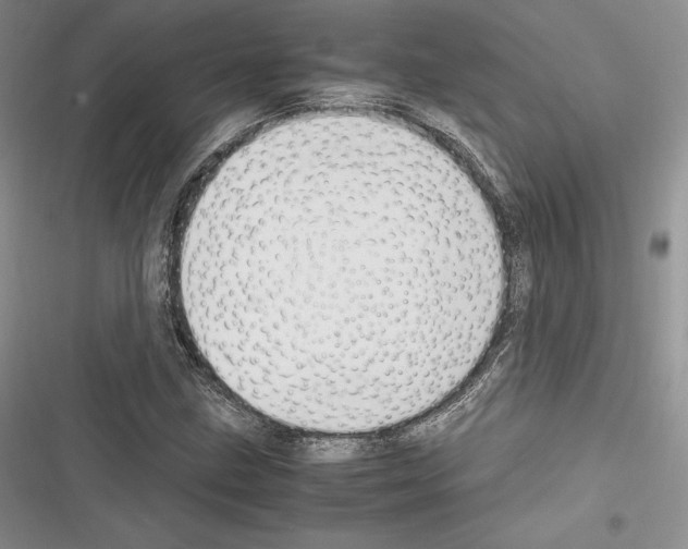 X0000116271211201001111007