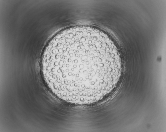 X0000116271212201001111007