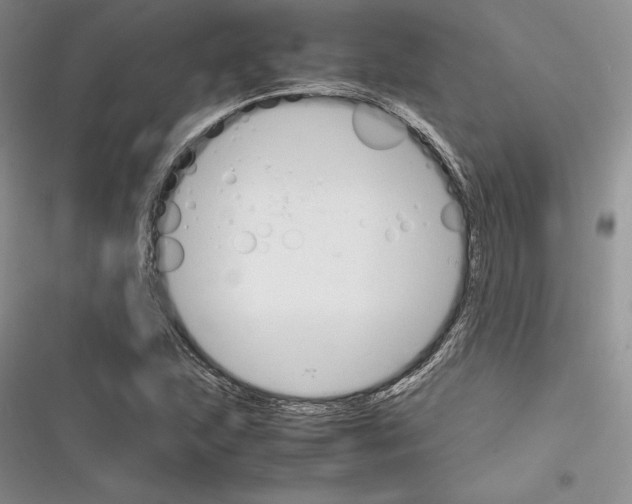 X0000116271215201001111007