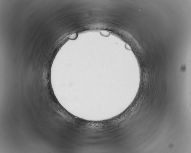 X0000116271217201001111007