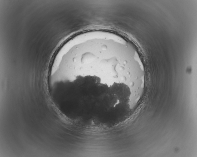 X0000116271220201001111007