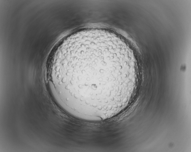 X0000116271221201001111007