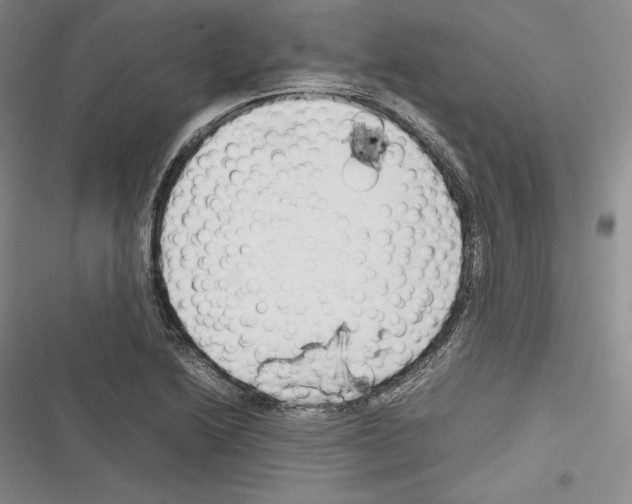 X0000116271222201001111007