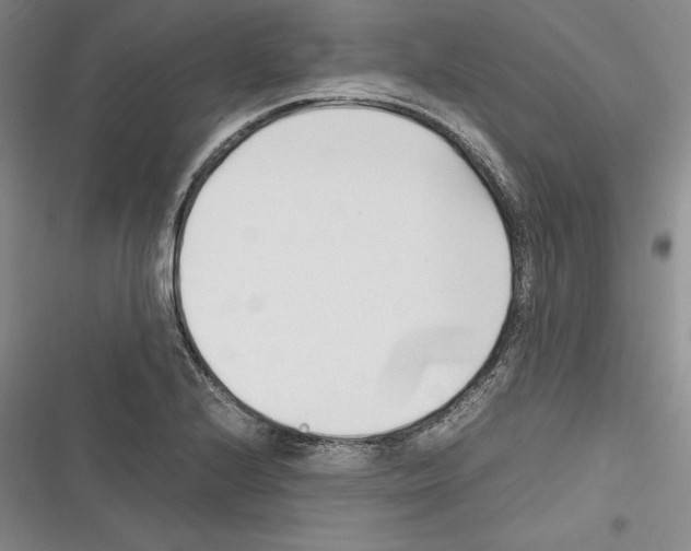X0000116271224201001111007
