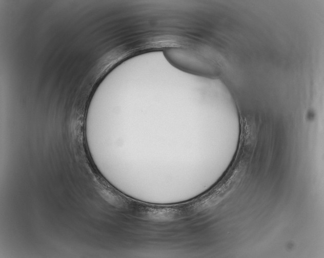 X0000116271225201001111007