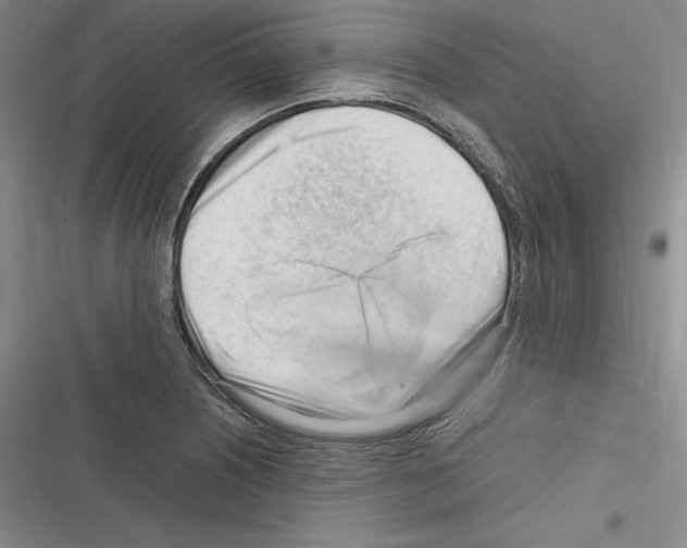 X0000116271226201001111007