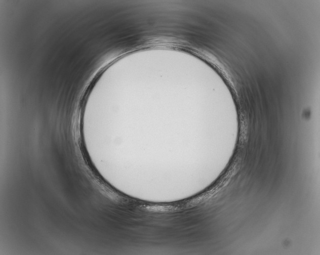 X0000116271227201001111007