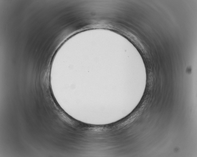 X0000116271228201001111007