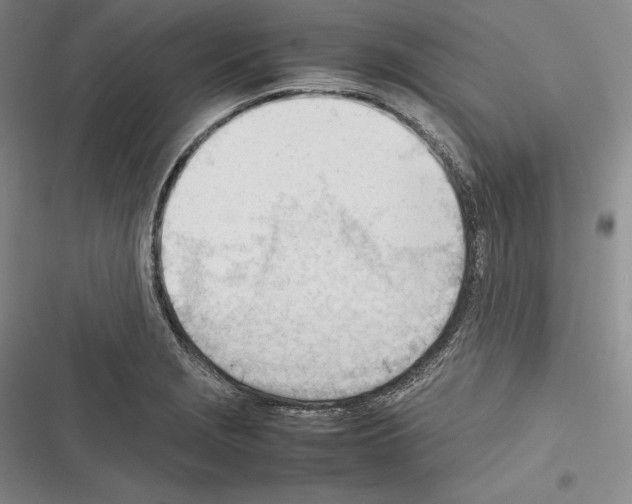 X0000116271229201001111007