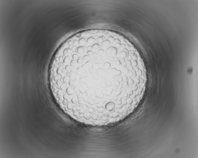 X0000116271230201001111007