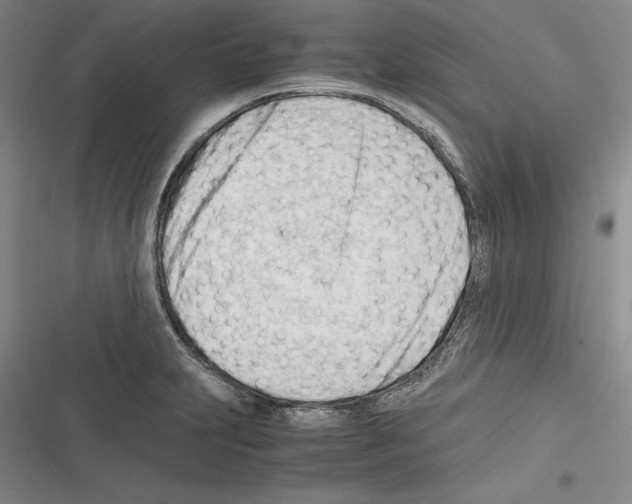 X0000116271231201001111007