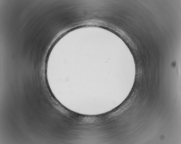 X0000116271232201001111007