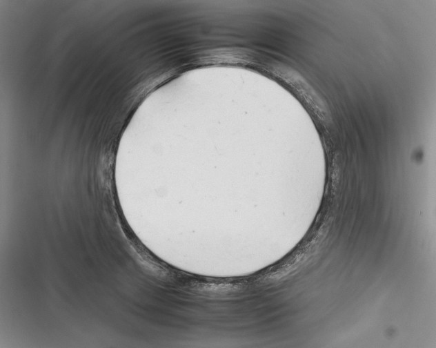 X0000116271233201001111007