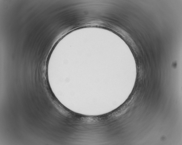 X0000116271234201001111007