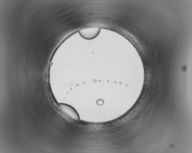 X0000116271236201001111007