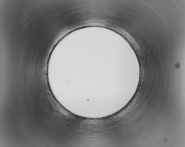 X0000116271240201001111008