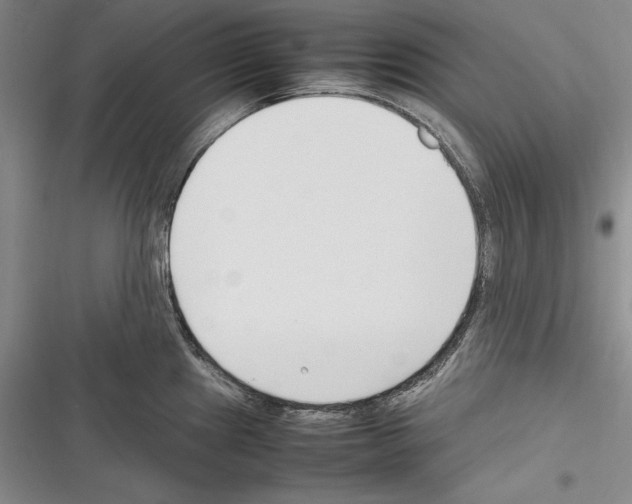 X0000116271241201001111008