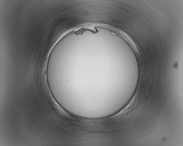 X0000116271244201001111008