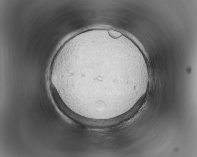 X0000116271245201001111008
