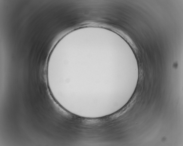 X0000116271247201001111008