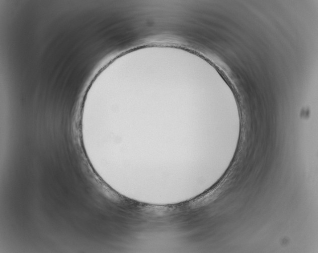 X0000116271248201001111008