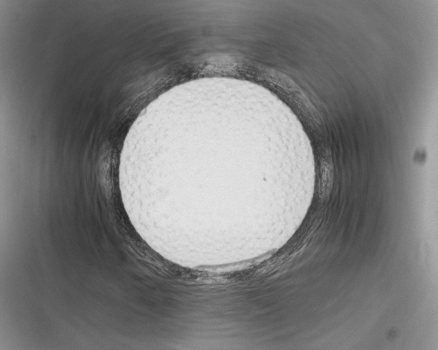 X0000116271250201001111007