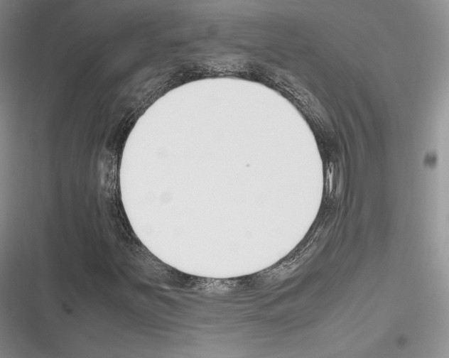 X0000116271251201001111007