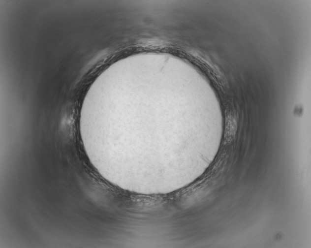 X0000116271254201001111007