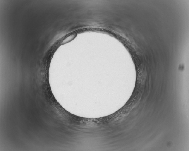 X0000116271255201001111007