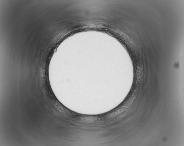 X0000116271257201001111007