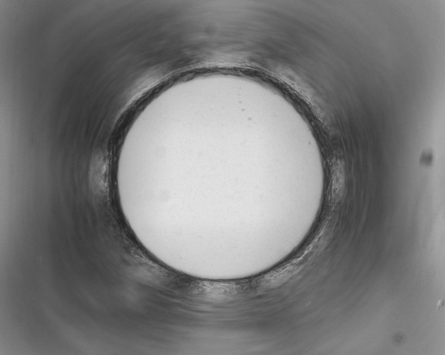 X0000116271258201001111007