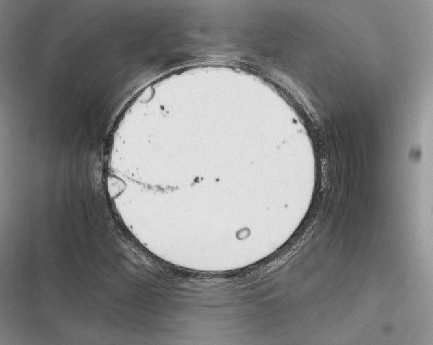 X0000116271260201001111007