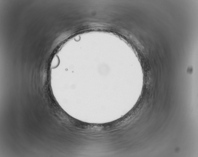 X0000116271261201001111007