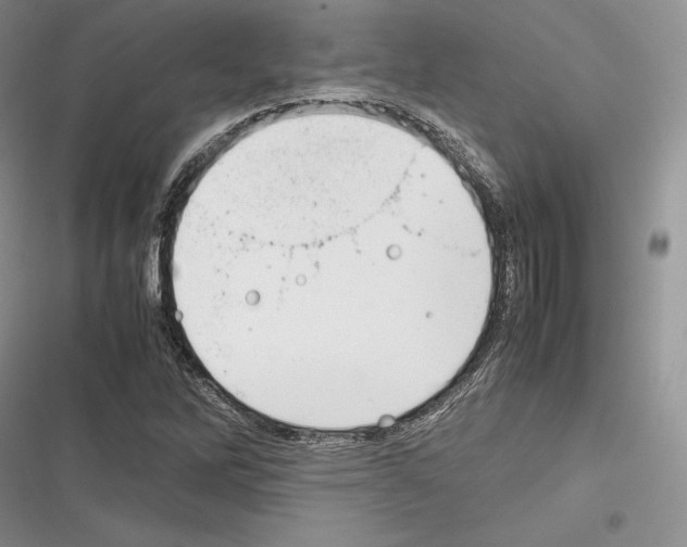 X0000116271262201001111007
