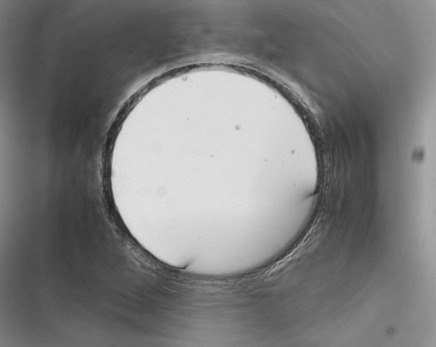 X0000116271264201001111007