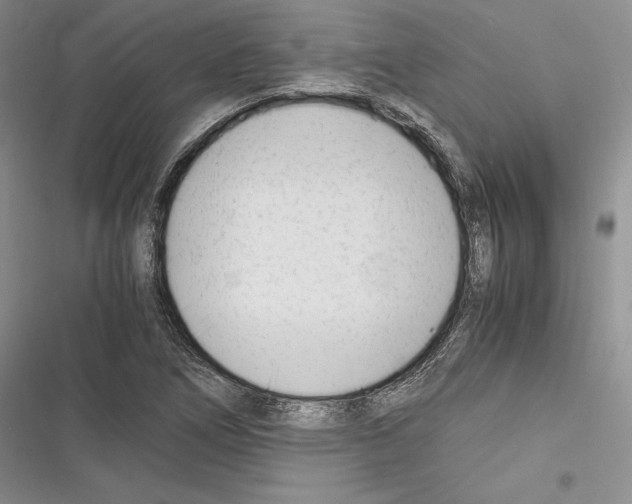 X0000116271266201001111007