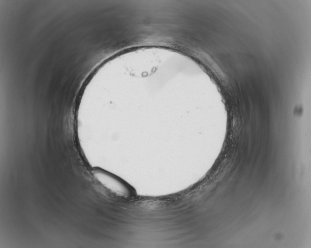 X0000116271268201001111007