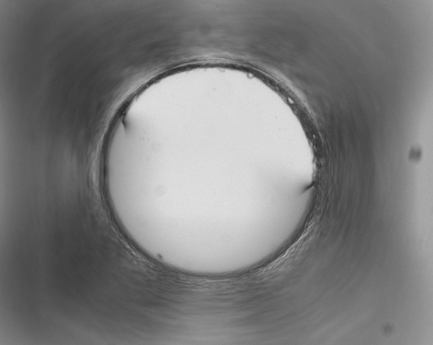 X0000116271269201001111007